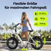 VERVE 26 Zoll Fat E-Bike Tiefeinsteiger 250W 48V 20Ah bis Produktbild-Vorschau 9