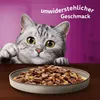 Whiskas Adult Pure Delight juicy bites - Nassfutter für Produktbild-Vorschau 8