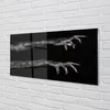 Glasbilder 100x50 Wandkunst Schwarzer Hintergrund Produktbild-Vorschau 2