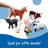 Learning Resources LER0694, 1,5 lat(a), Wielobarwny, Podgląd zdjęcia produktu 5