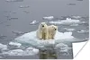 MuchoWow® Poster Eisbär - Wasser - Winter 60x40 cm - Produktbild-Vorschau 2
