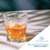 Intirilife 2x Whisky Glas in Transparent Klar Produktbild-Vorschau 2