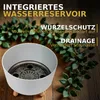 Moderner Blumentopf Ø 29 cm – Runder Übertopf mit Einsatz, Produktbild-Vorschau 2
