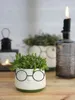 Blumentopf mit Gesicht und Brille, in zwei Farben und 4 Produktbild-Vorschau 2