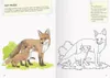 Il mio grande libro da colorare sulla natura Anteprima dell’immagine prodotto 5
