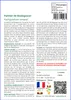 SAFLAX Garden to go - Palmier de Madagascar - 10 graines - Voir les images du produit 3