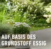 Grundstoff Essig COMPO  Unkrautbeseitigung Essig 3 l, Produktbild-Vorschau 7