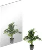 A potted plant is shown next to its reflection in a large mirror. Produktbild-Vorschau