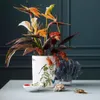 Villeroy & Boch Amazonia, Ďalší, Porcelán, Viacfarebný, Náhľad obrázku produktu 7
