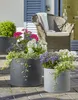 Scheurich Panzano 50, Pflanzgefäß/Blumentopf/Pflanzkübel, Produktbild-Vorschau 6