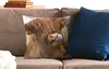 MuchoWow® Zierkissen Sofakissen Wohnzimmer Dekokissen 45x45 Produktbild-Vorschau 2