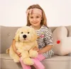 Golden Retriever liegend, 60 cm, Plüsch, 1 Stück Produktbild-Vorschau 3