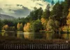 Wald - Erholung für Mensch und Tier - 2027 - Kalender DIN Produktbild-Vorschau 5