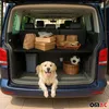 A golden retriever dog is lying in the open trunk of a blue van, with various boxes and a soccer ball in the background. Voir les images du produit