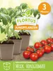 Kirschtomatenpflanze Mexikanische Honigtomate | Produktbild-Vorschau 1