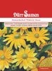 Sonnenhut Prairie Sun | Sonnenhutsamen von Dürr Samen Produktbild-Vorschau 1
