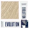 Alfaparf Evolution of the Color Cube 11.13 60ml Náhľad obrázku produktu 1