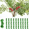 30 Stück 90 Grad Plant Bender, Pflanzen Biegetrainer, Produktbild-Vorschau 1