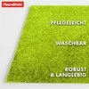 Paillasson Domenico Tapis de propreté élégant et pratique Voir les images du produit 2