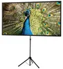 Celexon 1091745, Manuell, 121 cm, 194 cm, 16:10 Produktbild-Vorschau 1