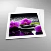 Poster - Poster ohne Rahmen - Orchidee Natur Wasser Blume - Produktbild-Vorschau 3