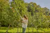 Gardena 17401-20 arbre/poignée/adaptateur pour outils à Voir les images du produit 11