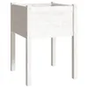 vidaXL Pflanzkübel 2 Stk. Weiß 50x50x70 cm Massivholz Produktbild-Vorschau 4