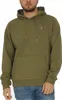Sweatshirts Fila Victor Hoody Deep Lichen 68745830 Produktbild-Vorschau 1