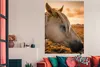 MuchoWow® Poster Pferd - Tiere - Porträt 120x180 cm - Produktbild-Vorschau 3