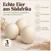 3 natürliche Straußeneier Deko-Eier, entleert, gereinigt & Produktbild-Vorschau 6