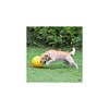KERBL Interaktiver Ball für Hunde, gelb, 30 cm Produktbild-Vorschau 5