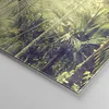 Bilder auf glas - Einteilig - Morgendämmerung Dschungel Produktbild-Vorschau 5