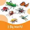 Learning Resources LER0789, 3 rok/roky, Vícebarevný, Plast Náhled obrázku produktu 2
