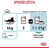 Royal Canin Feline Multipack Urinary Care in Sosse 12x85g Produktbild-Vorschau 5
