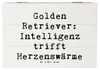 Mr. & Mrs. Panda Geschenkbox Spruch Golden Retriever Liebe Produktbild-Vorschau 1