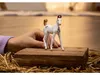 Schleich Horse Club Marwari Fohlen, Spielfigur Produktbild-Vorschau 2