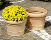 Scheurich 645-0TERRA Gefäß Venice 50 Ø 50x37,5cm, Produktbild-Vorschau 3