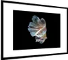 MuchoWow® MuchoWow® Gerahmtes Poster Fisch - Schwanz - Produktbild-Vorschau 7