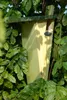 Nistkasten-Gartenbaumläufer-Kiefernholz-Zink Produktbild-Vorschau