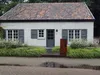 Stauden Gänge 10 x Carex oshimensis 'JS Greenwell' im 1 Produktbild-Vorschau 4