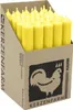 Stabkerzen aus Paraffin, 180/22 mm, Pastellgelb, KERZENFARM Produktbild-Vorschau 1
