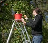 Niwaki Aluminium 3-Holm-Gartenleiter Silber 190x125x243 cm Produktbild-Vorschau 3