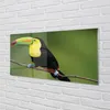 Glasbilder 140x70 Wandkunst Bunte Papageien auf einem Zweig Produktbild-Vorschau 2