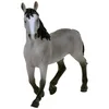 Cheval de Selle Français Jument Voir les images du produit 7