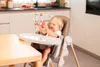 Artsana Hochstuhl Polly Armonia Motherpearl Produktbild-Vorschau 15