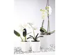 Orchideenkübel Merina ø 14 weiß Produktbild-Vorschau 5