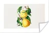 MuchoWow® Poster Birnen - Obst - Gesund 60x40 cm - Produktbild-Vorschau 1