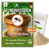 Futeco® – SF-Nematoden (20 Mio.) gegen Trauermücken – für Produktbild-Vorschau 1