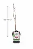 Japanische Zierkirsche Royal Burgundy 100–120 cm – Prunus Produktbild-Vorschau 5