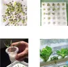 36 Löcher Hydroponisches Grow Kit  Bewässerungssystem  Produktbild-Vorschau 6